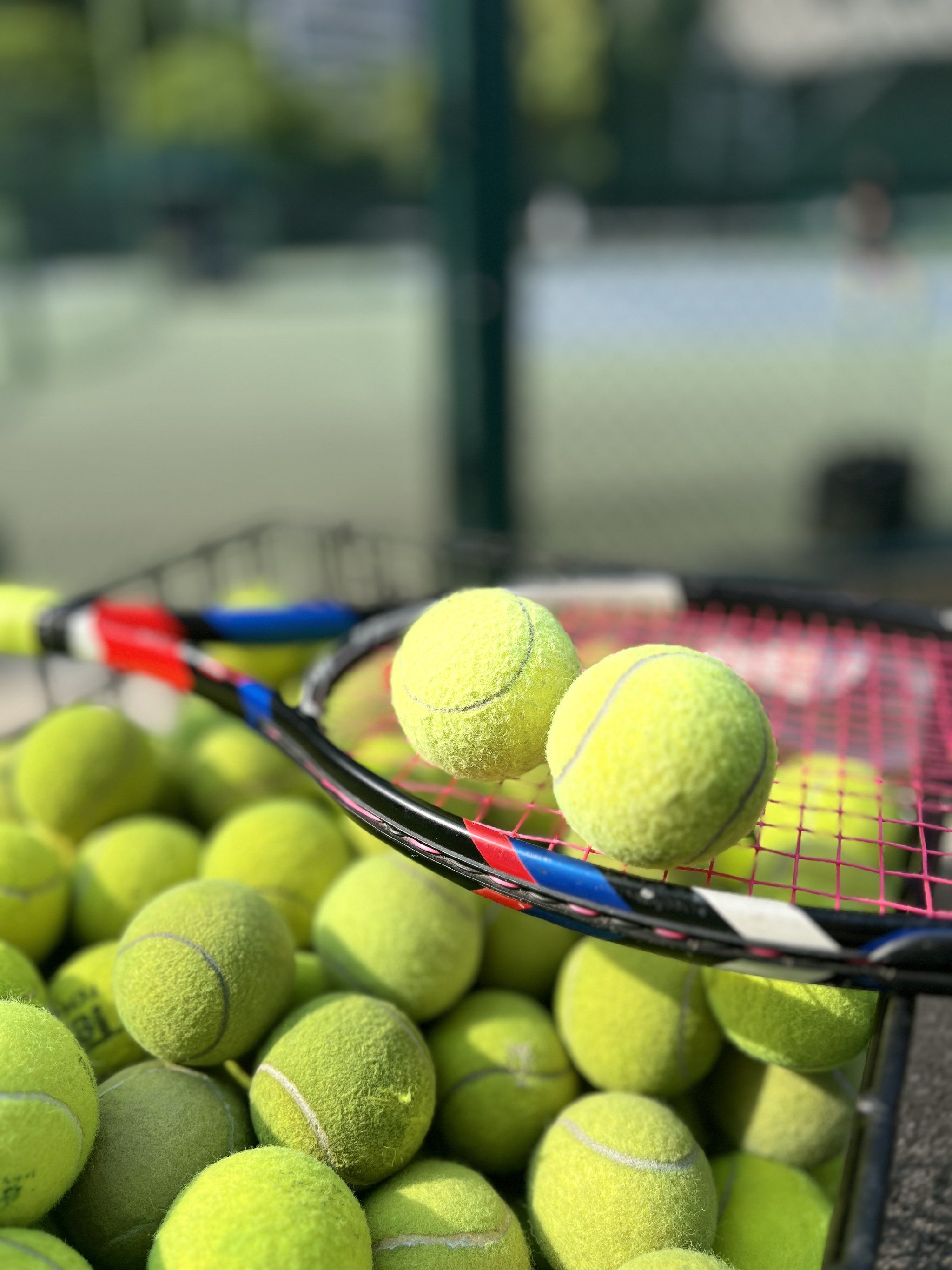 某一年表现 某一年表现